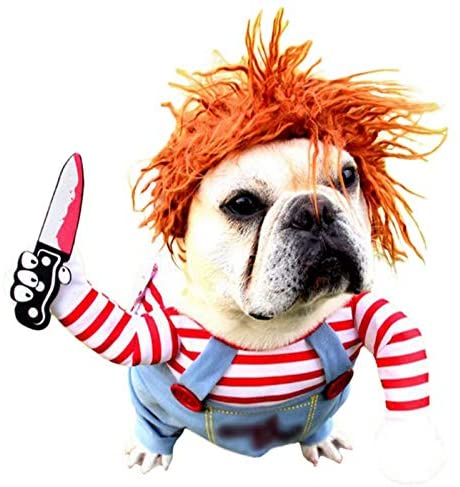 Disfraz de Perro Mortal para Perro de Miedo, Ropa de Halloween, Cosplay,  muñeca Chucky, Disfraz de Perro, para Fiestas de Perro, Ideal para Perros  Grandes y pequeños - Por el perro