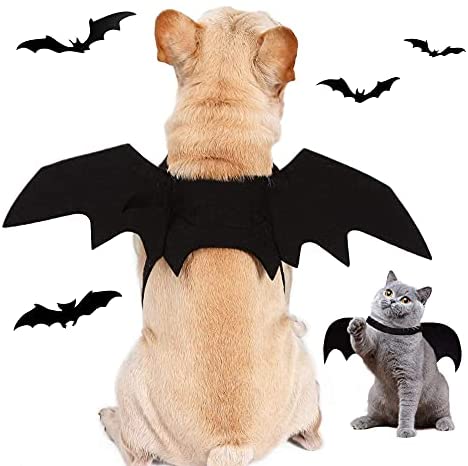 Disfraz De Halloween del Gatos Perros, Disfraz de Murciélago para Mascotas,  Cosplay de Murciélagos de Moda para Gatos y Perros - Por el perro