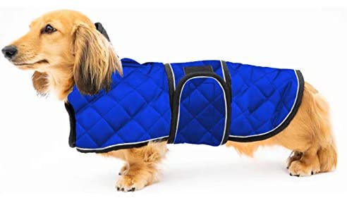 Geyecete Abrigo cálido acolchado térmico para con forro cálido, ropa de perro con bandas ajustables para perros medianos, grandes azules - Por el perro