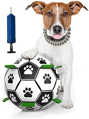 Pelota Juguete Perro, Pelotas de Juguete para Perros, Juguetes Interactivos  de Fútbol, Juguete de Agua para Perros, Pelota de Fútbol para Perros  Entrenamiento y Ejercicio - Por el perro