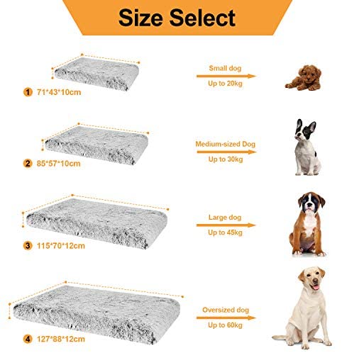BingoPaw Cama para Perros 100 x 85 x 10cm Sofá Impermeable y Lavable Cómoda Casa con Cojín Extraíble para Mascotas Perros Gatos Cachorros Tamaño XL 