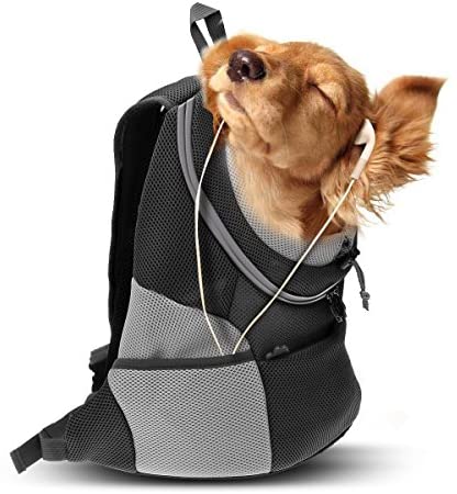 PETCUTE Transportín para Perros pequeños Plegable Bolso de Transporte de Perro Viaje Portadora de Mascotas para Perro Pequeño Gato 