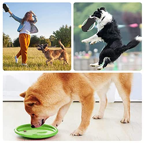 XUBX 7 Piezas Frisbee Perro, Perros interactivos Frisbee, Juguete de Disco  Volador para Perro, Frisbee para Mascotas, Frisbee Perro Goma, Frisbee  Cachorro para Lanzar, Entrenar, Jugar, Atrapar : : Productos para  mascotas
