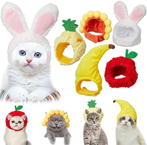 Disfraces para Mascotas en Halloween - Disfraz de plátano  Disfraces para  perros, Disfraz para perros halloween, Disfraces para mascotas
